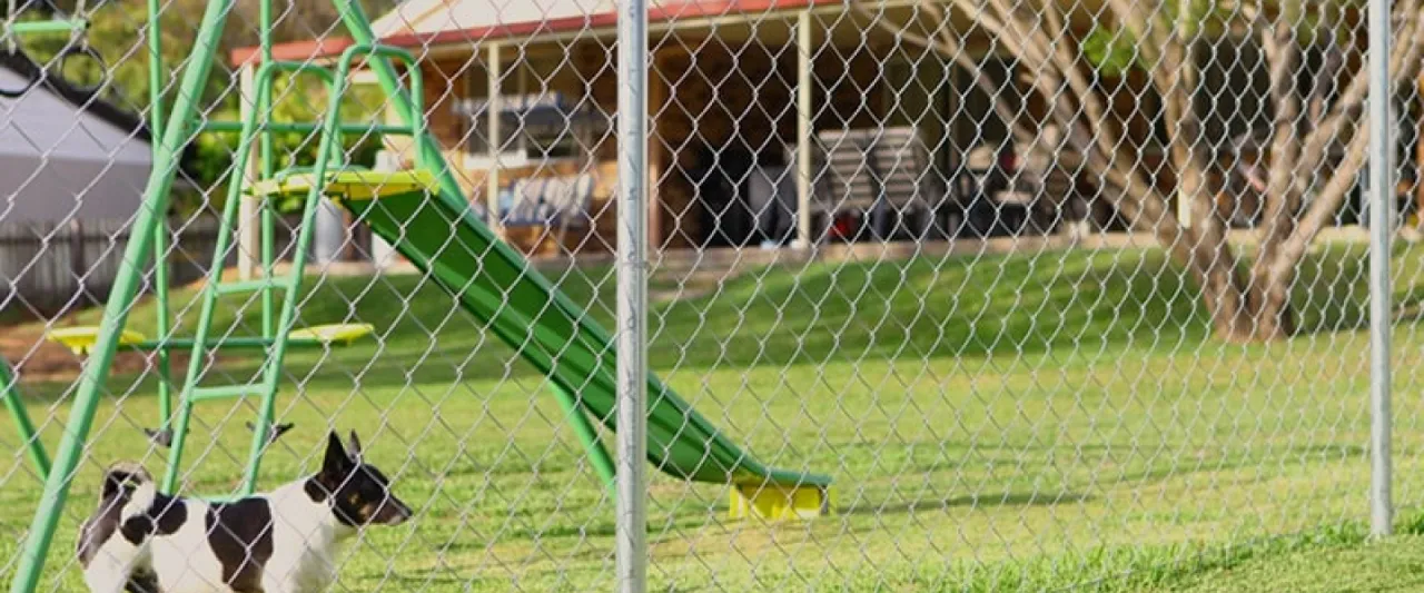 Imagem do Banner 3